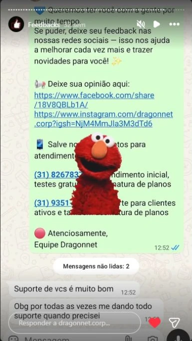 Cliente agradece o suporte da DragonNet